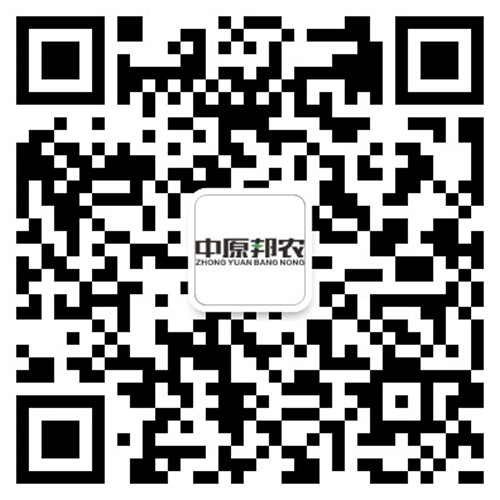 开云体育app官方下载