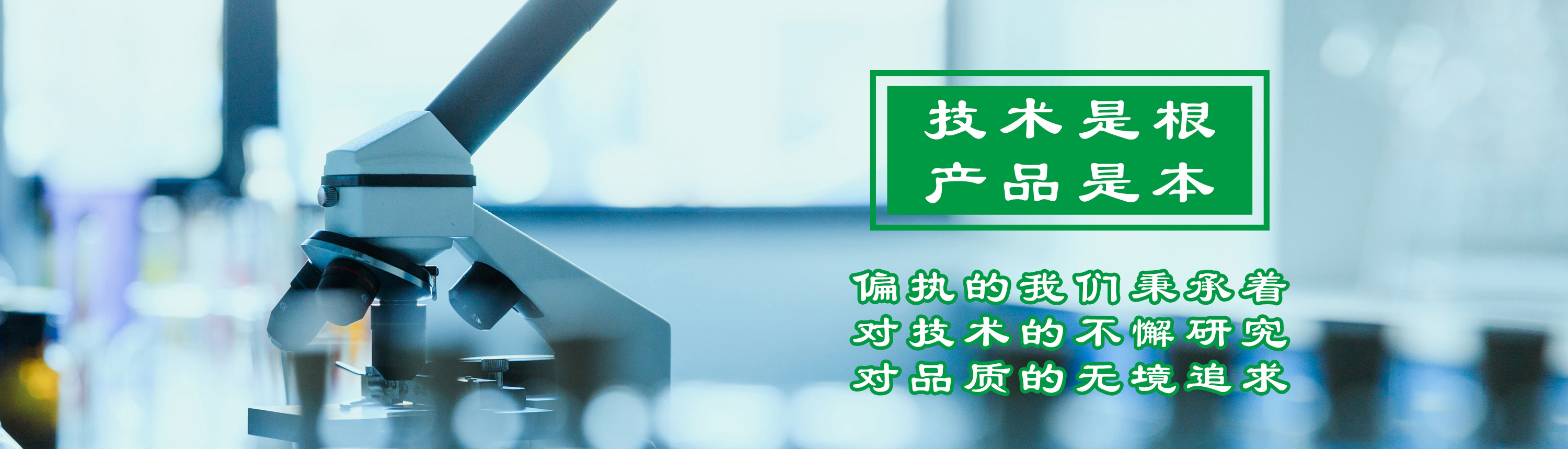 开云体育电竞